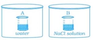 CBSE CLASS 12 SOLUTIONS MCQs