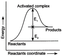 Activation energy of both forward and backward reaction